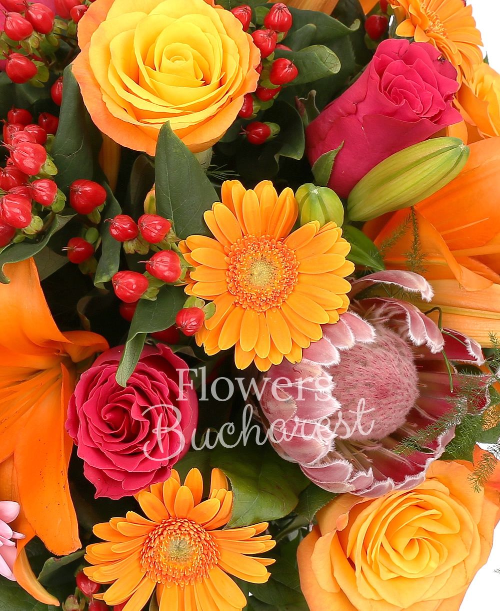 3 orange lilies, 3 proteea, 5 orange roses, 3 cyclam roses, 3 pink gerbera, 5 orange gerbera, 3 leucospermum, 5 hypericum, greenery