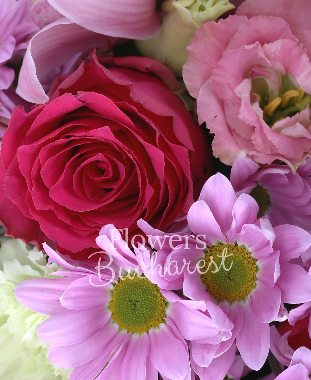 7 cyclam roses, 5 pink chrysanthemums, 2 green anthurium, 7 pink lisianthus, 7 pink carnations, 5 cyclam miniroses, pink cymbidium, greenery