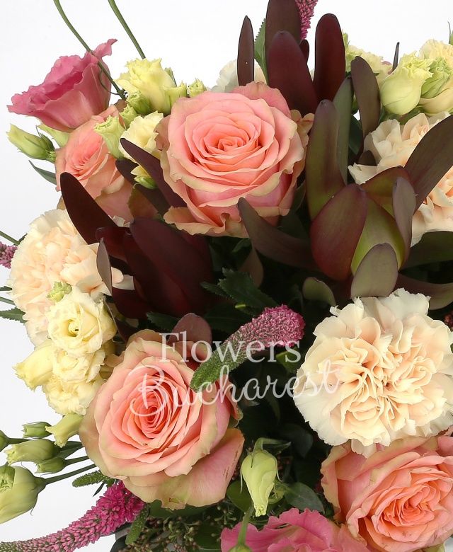 4 trandafiri portocalii, 2 lisianthus roz, 4 garoafe crem, 4 veronica rosii, 2 leucadendron, 2 schimia, salal, cuib