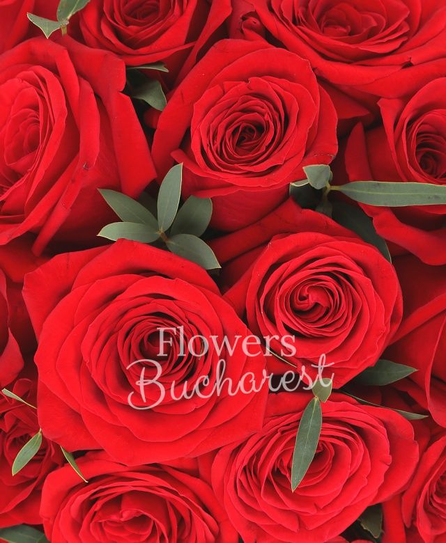 31 trandafiri rosii, eucalypt, cutie pătrată