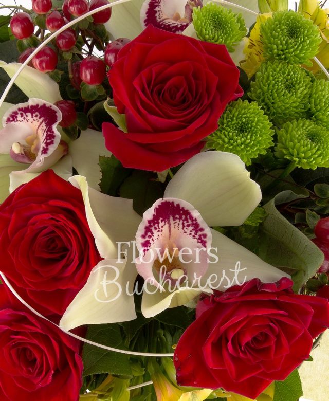 4 trandafiri rosii, 4 alstoemeria galbenă, 2 hypericum roșu, 2 santini verzi, cymbidium verde, salal, iedera, ferigă, cuib