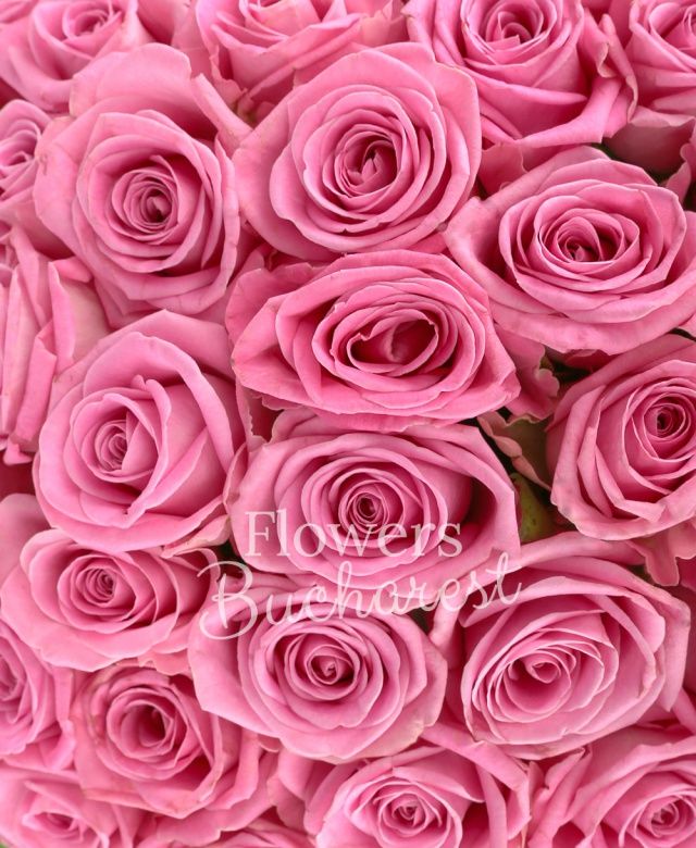 41 trandafiri roz, salal, aspidistra
