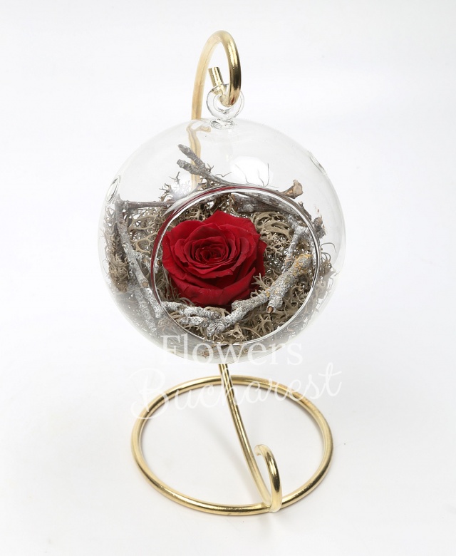 1 trandafir_criogenat_rosu, glob sticla