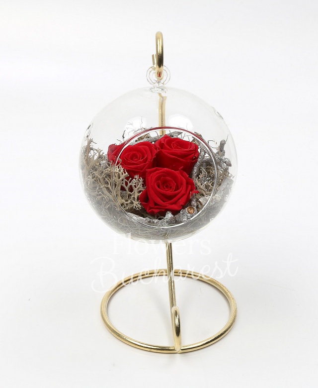 3 trandafir_criogenat_rosu, glob de sticla