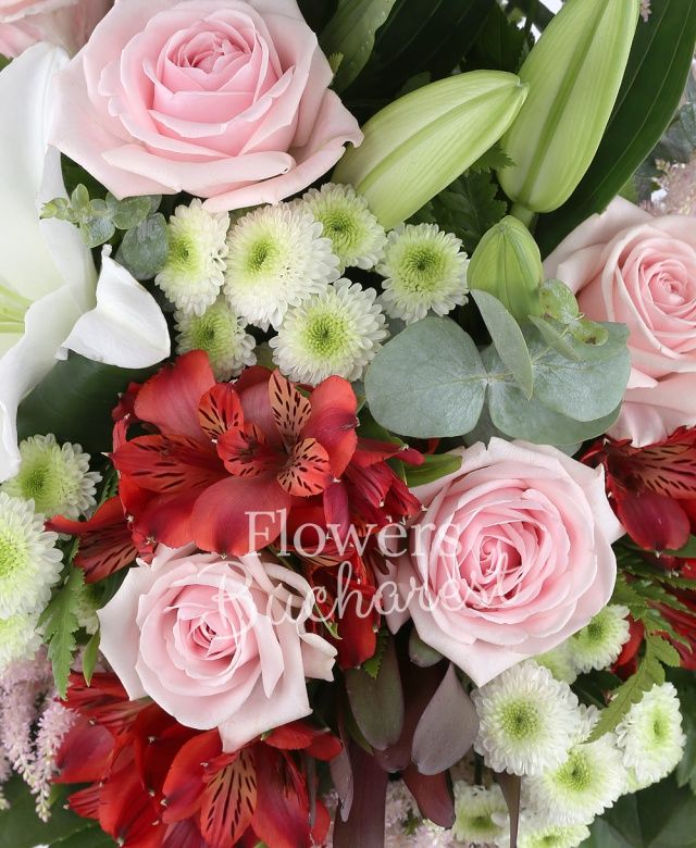2 crini albi, 4 trandafiri roz, 2 santini alb, 2 alstroemeria roșie, 2 leucadendron, 3 astranția roz, aralia, eucalypt, salal