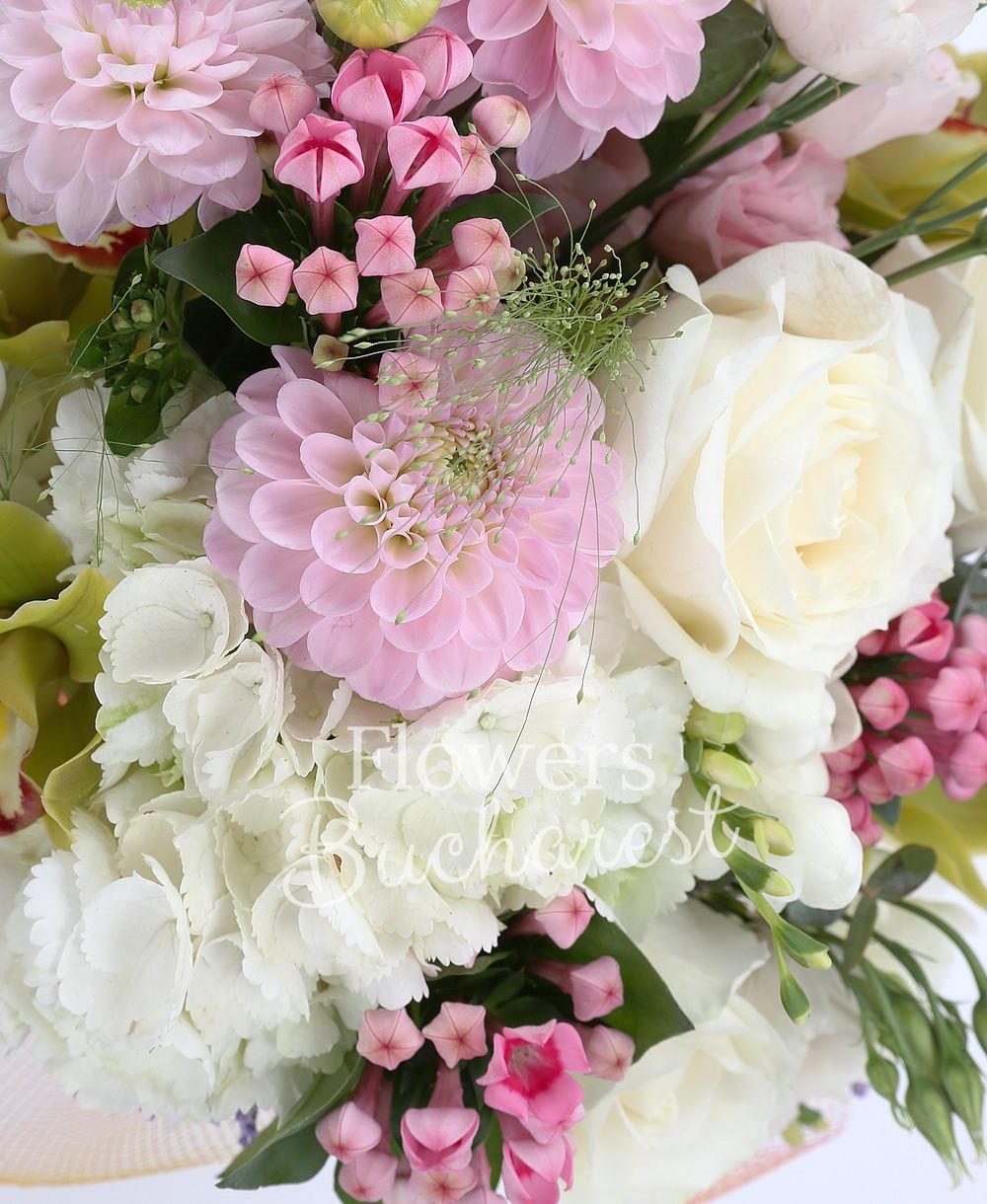 5 white roses, 3 pink dahlias, 3 pink lisianthus, 5 white freesias, 3 pink bouvardia, green cymbidium, 2 clematis, greenery