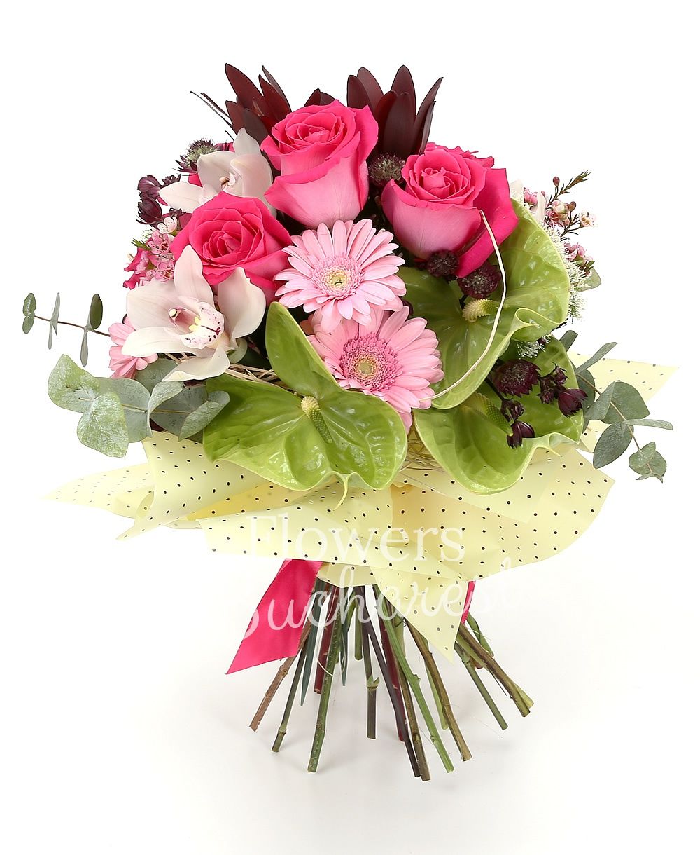 5 cyclam roses, 3 pink gerbera, 3 green anthurium, 2 leucadendron, 2 white trachelium, white cymbidium, pink waxflower, greenery