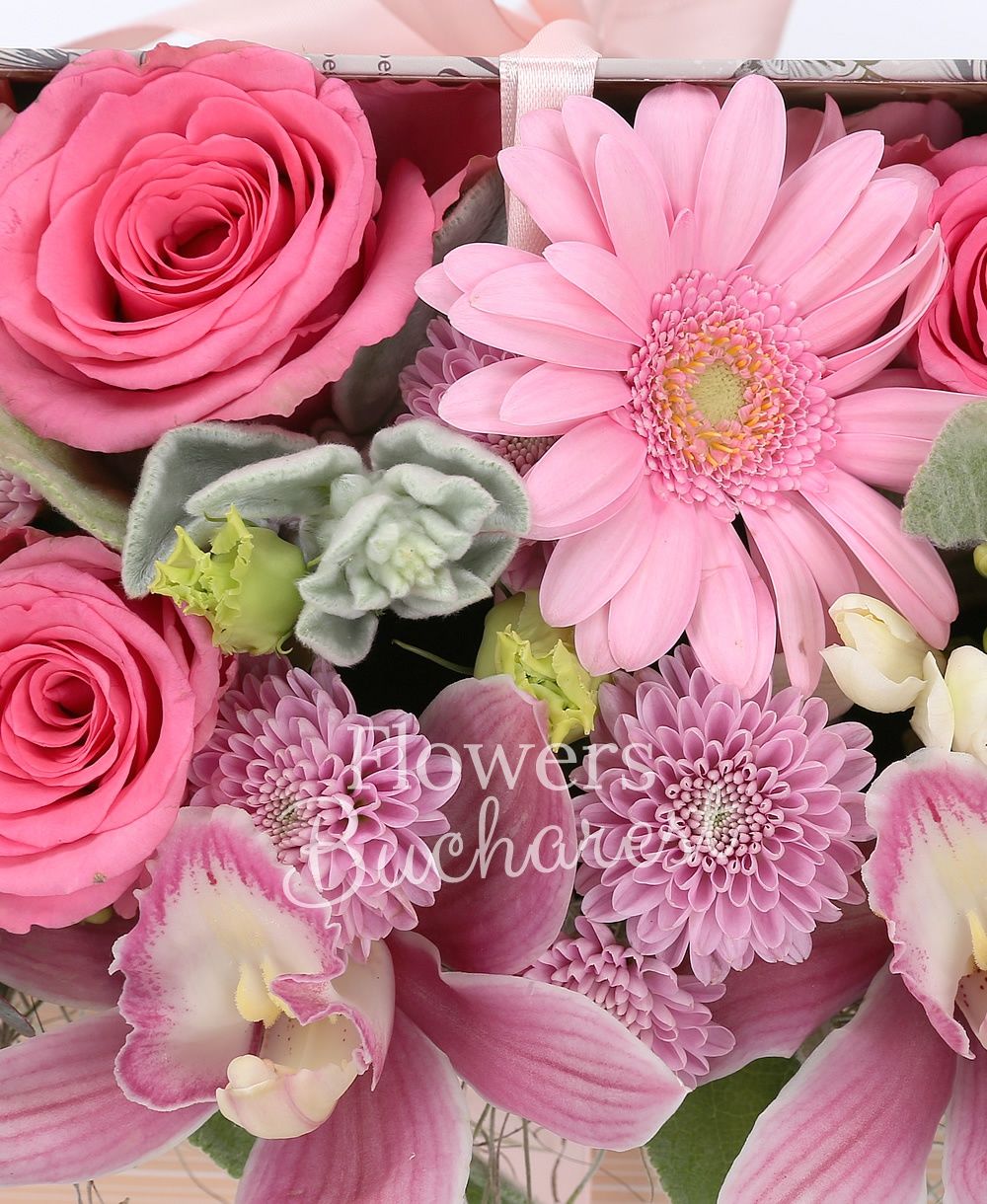 3 cappuccino roses, 2 pink gerbera, 5 white freesias, 3 cyclam carnations, 2 pink santini, 2 pink lisianthus, pink cymbidium, astranția, greenery