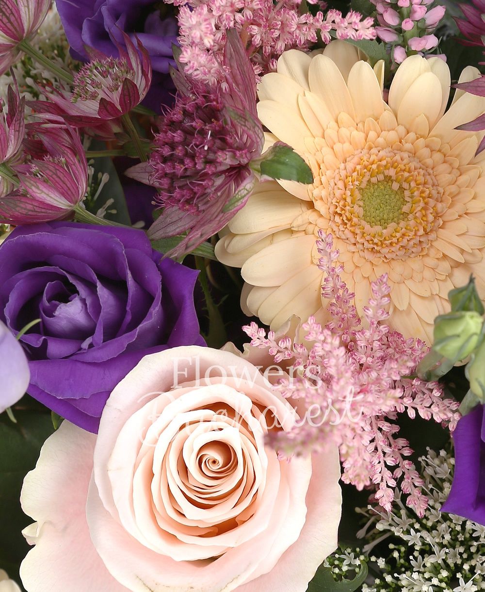 7 cream roses, 5 mango cala, 3 cream gerbera, 3 white mathiolla, 3 mauve lisianthus, 2 eryngium, 5 white trachelium, 5 pink astilbe, 5 pink veronica, green cymbidium, garnet astranția, greenery