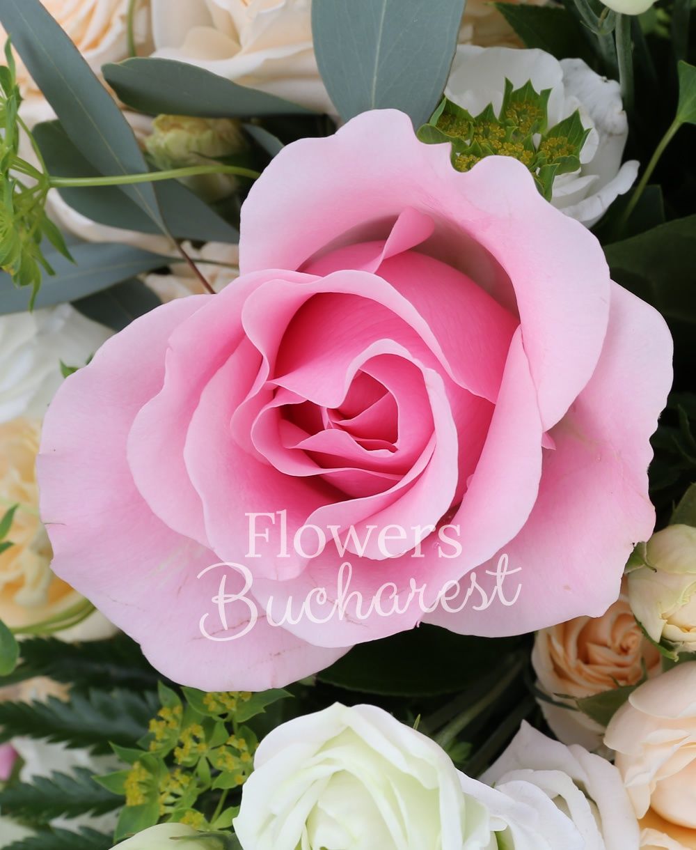 5 pink roses, 5 cream miniroses, 3 pink bouvardia, 5 white lisianthus, white cymbidium, greenery