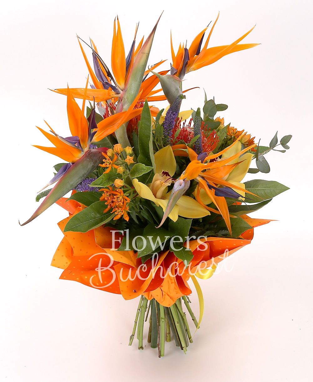 5 strelitzia, 3 leucospermum, yellow cymbidium, 2 asclepias, 5 mauve veronica, greenery