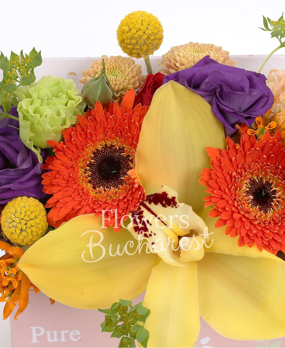 2 orange gerberas, 3 red roses, 1 yellow rose, yellow cymbidium, 2 pink lisianthus, 1 green lisianthus, 2 purple lisianthus, 3 craspedia, 1 yellow santini, greenery