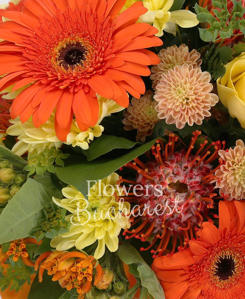 5 yellow roses, 5 orange gerberas, 3 leucospermum, 2 yellow chrysanthemums, 3 yellow santini, 3 asclepias, greenery