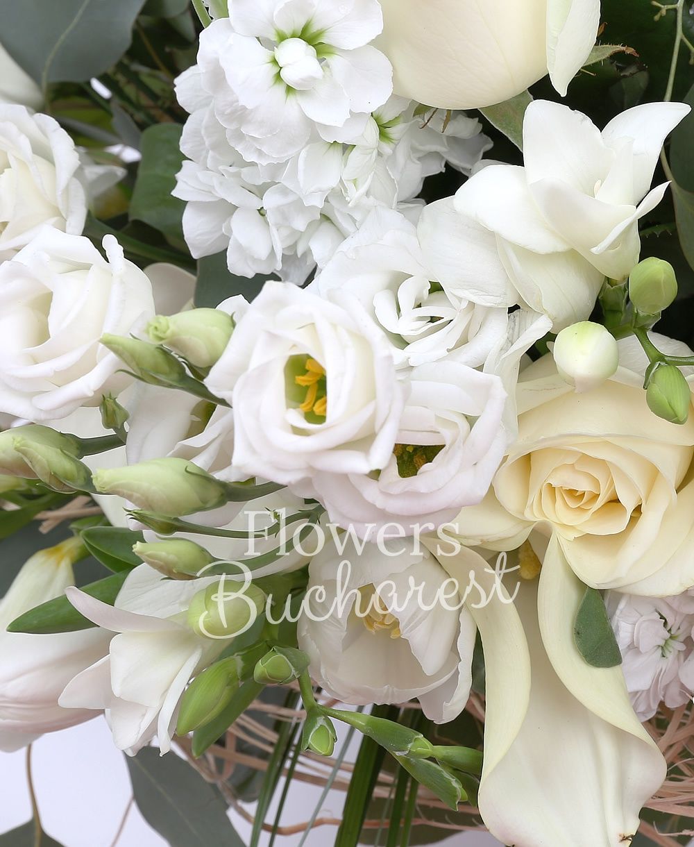 9 white roses, 5 white cala, 5 white mathiolla, 5 white lisianthus, 10 white freesias, 10 white tulips, greenery