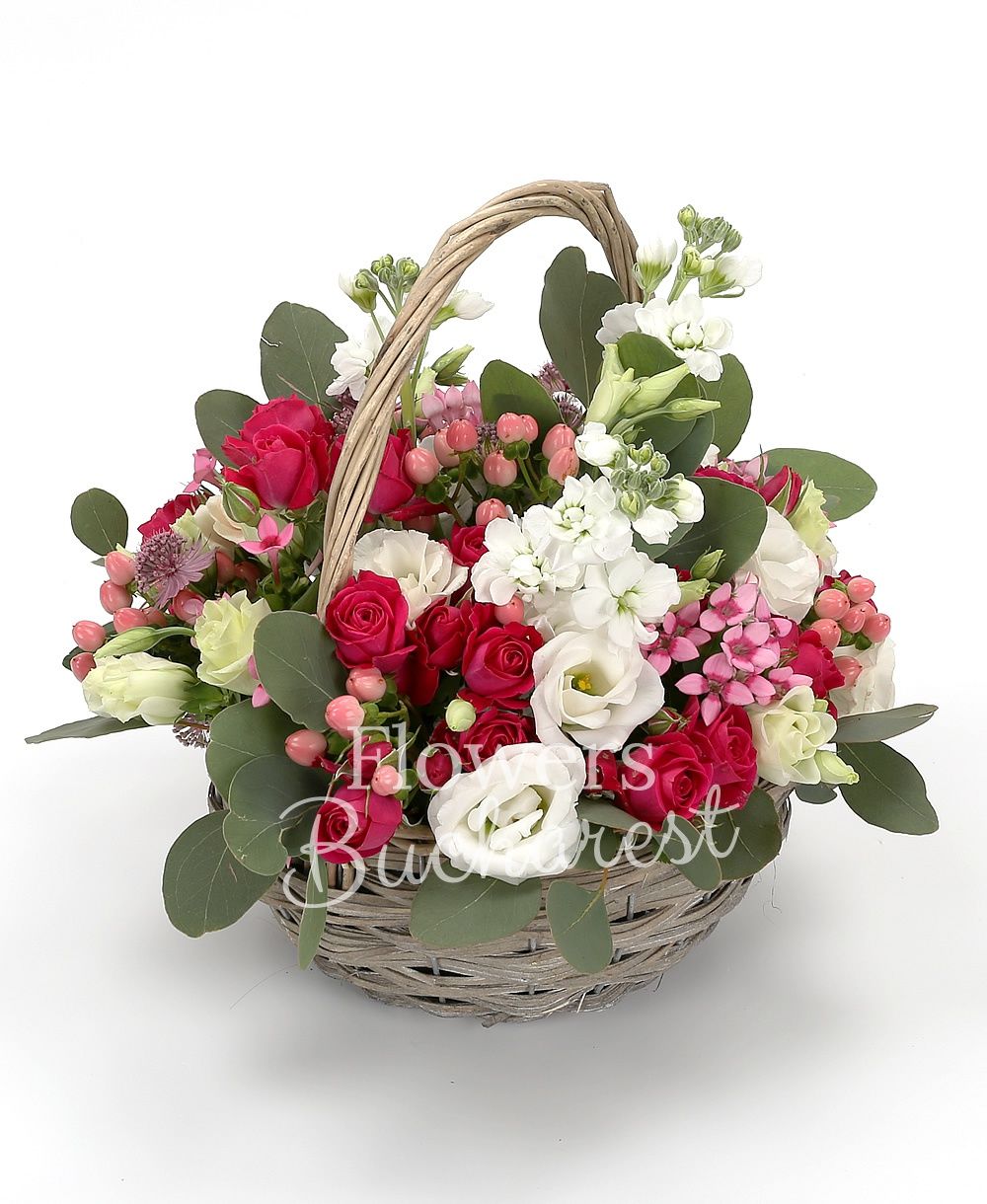 3 white mathiolla, 5 cyclam miniroses, 5 white lisianthus, 5 pink hypericum, 5 pink bouvardia, greenery