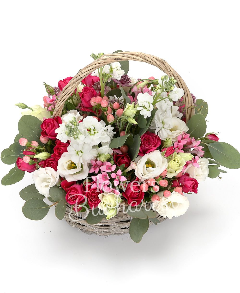 3 white mathiolla, 5 cyclam miniroses, 5 white lisianthus, 5 pink hypericum, 5 pink bouvardia, greenery