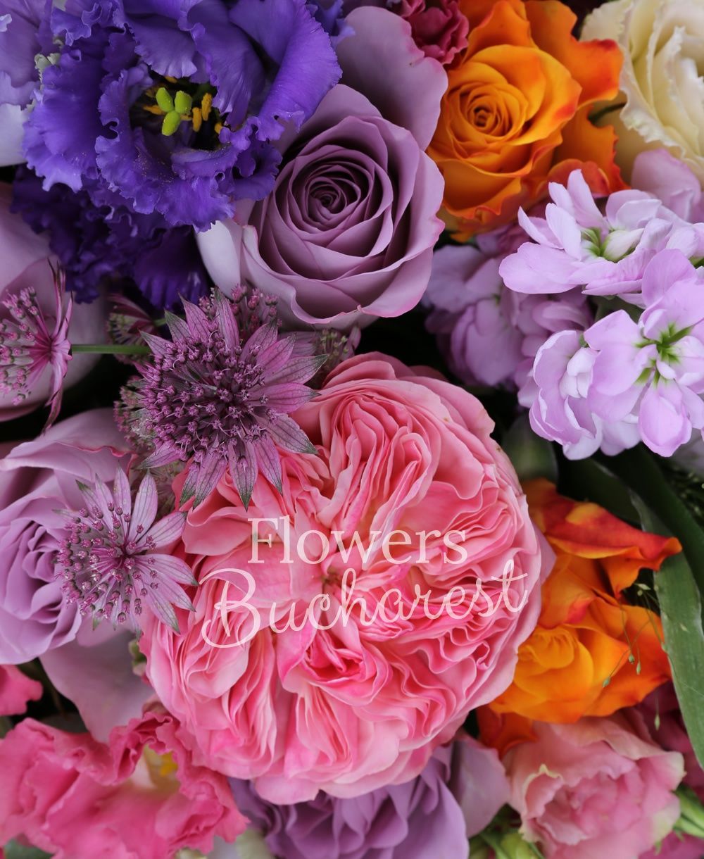 5 pink roses, 9 purple roses, 4 orange roses, 5 purple mathiolla, 5 purple lisianthus, 3 pink lisianthus, garnet astranția, greenery