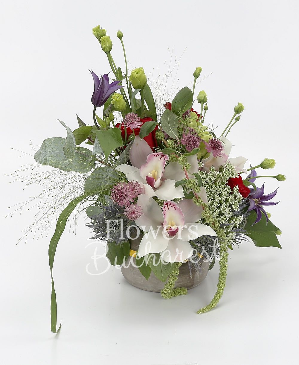 3 red roses, 3 green lisianthus, white cymbidium, 2 clematis, 1 eryngium, pink astranția, ammi, green amaranthus, greenery