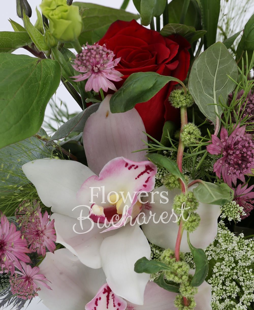 3 red roses, 3 green lisianthus, white cymbidium, 2 clematis, 1 eryngium, pink astranția, ammi, green amaranthus, greenery