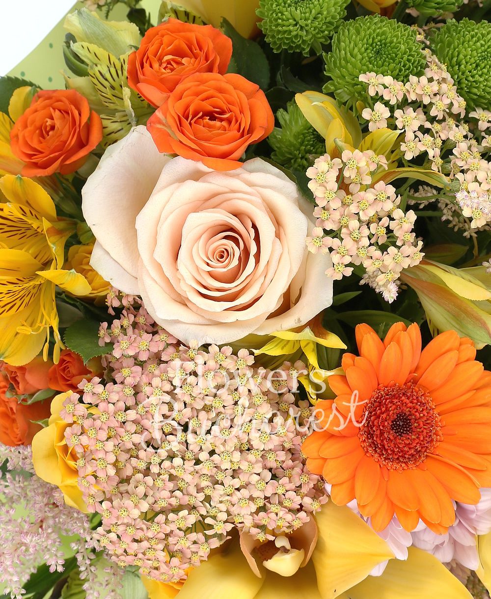 5 orange gerberas, 3 leucospermum, 5 orange miniroses, 5 yellow miniroses, 3 pink chrysanthemums, 3 green santini, 5 yellow alstroemeria, yellow cymbidium, 5 pink astilbe, 5 rice flower