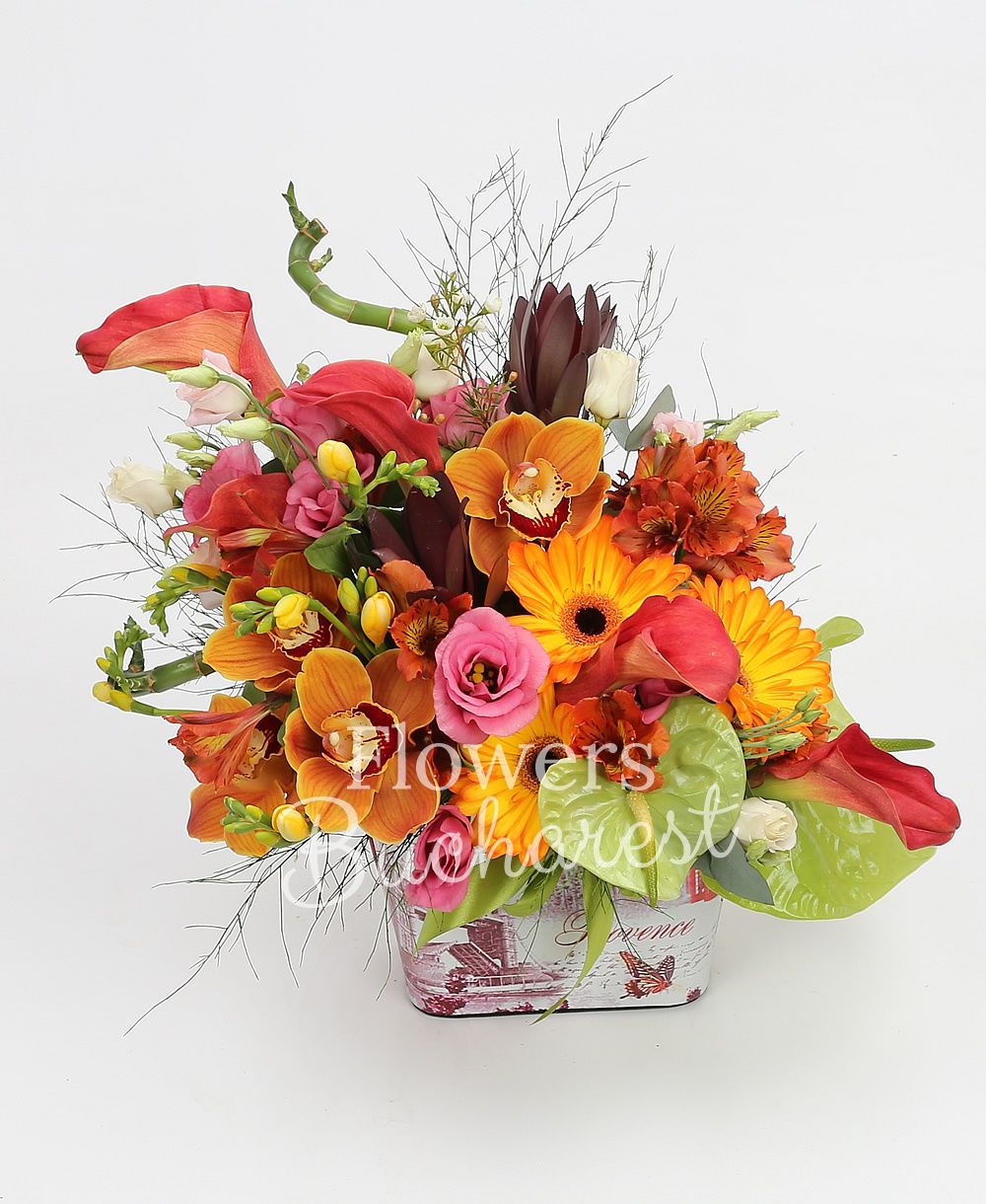 5 mango cala, 2 bambus, 3 orange gerbera, 2 leucadendron, 2 pink lisianthus, 2 green anthurium, 5 yellow freesias, 3 orange alstroemeria, greenery