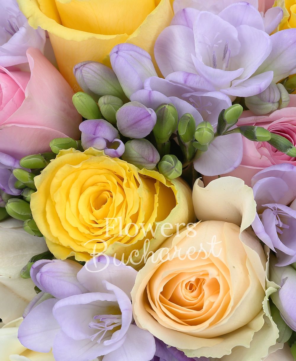 5 yellow roses, 5 white roses, 5 pink roses, 5 cream roses, 20 mauve freesias