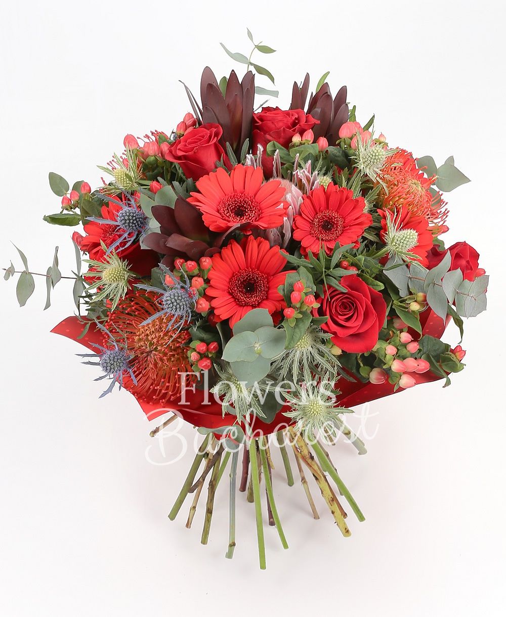 5 red roses, 5 red gerberas, 3 leucospermum, 3 leucadendron, 3 eryngium, 5 hypericum red, greenery