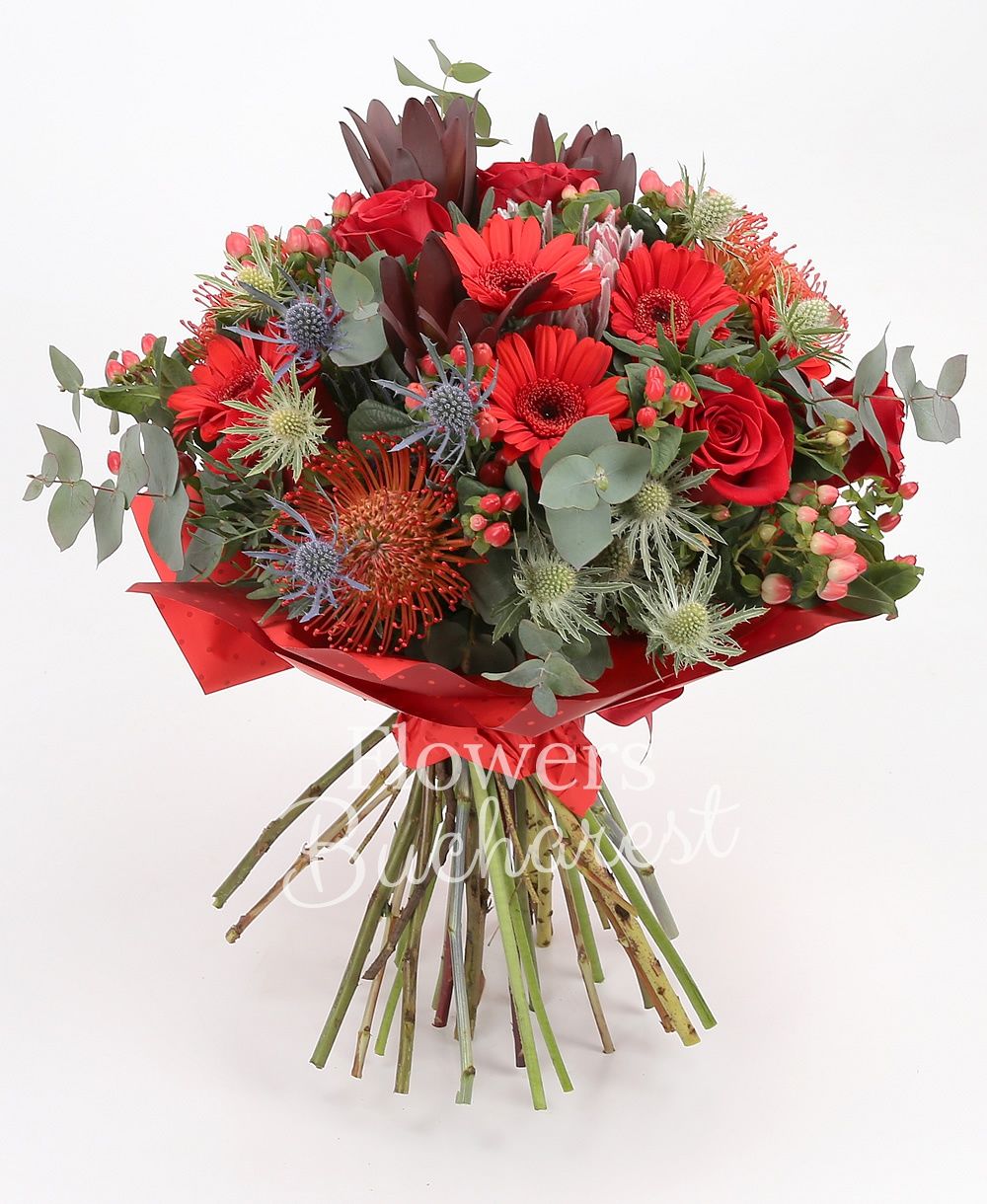 5 red roses, 5 red gerberas, 3 leucospermum, 3 leucadendron, 3 eryngium, 5 hypericum red, greenery