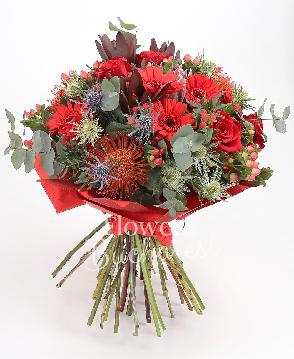 5 red roses, 5 red gerberas, 3 leucospermum, 3 leucadendron, 3 eryngium, 5 hypericum red, greenery