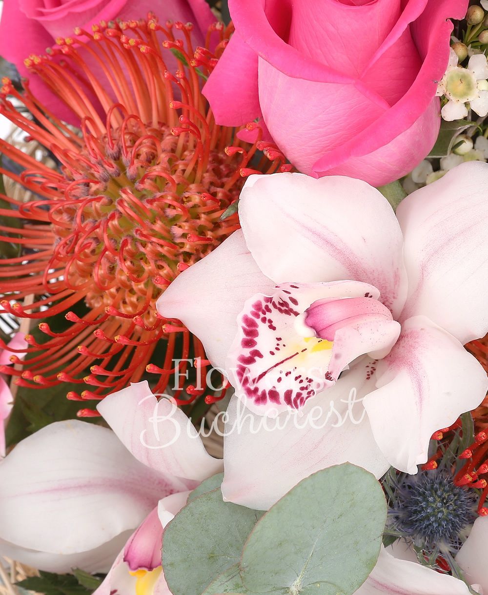 5 cyclam roses, 2 leucadendron, 2 leucospermum, white cymbidium, 2 pink gerbera, 2 eryngium, white waxflower, greenery