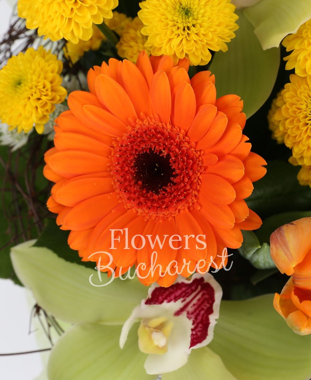 3 orange gerberas, 2 yellow santini, 3 orange tulips, 2 orange freesias, green cymbidium, greenery