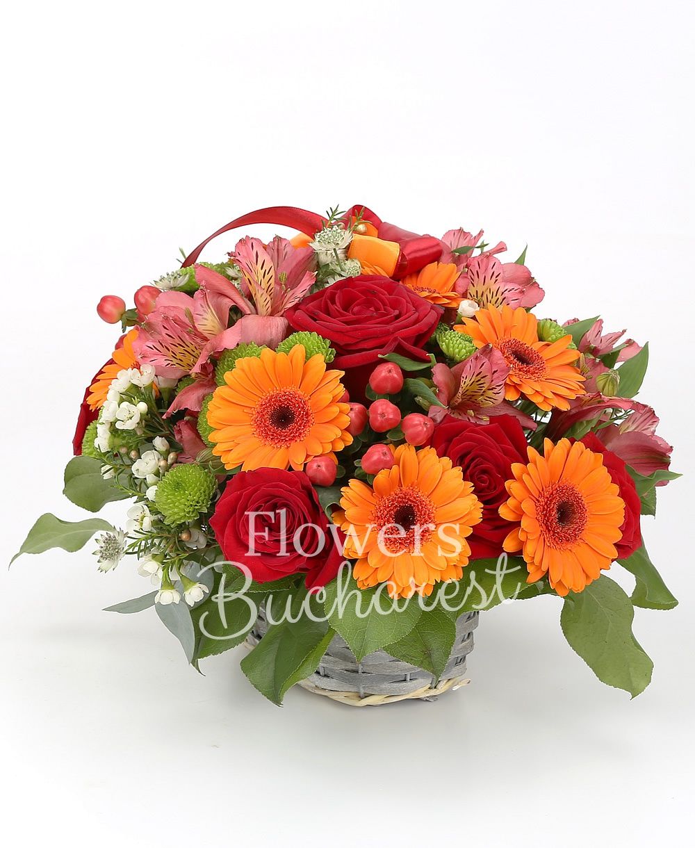 5 red roses, 6 orange gerberas, 3 pink alstroemeria, 3 hypericum, 3 green santini, greenery