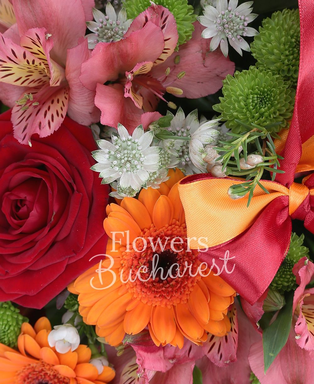 5 red roses, 6 orange gerberas, 3 pink alstroemeria, 3 hypericum, 3 green santini, greenery