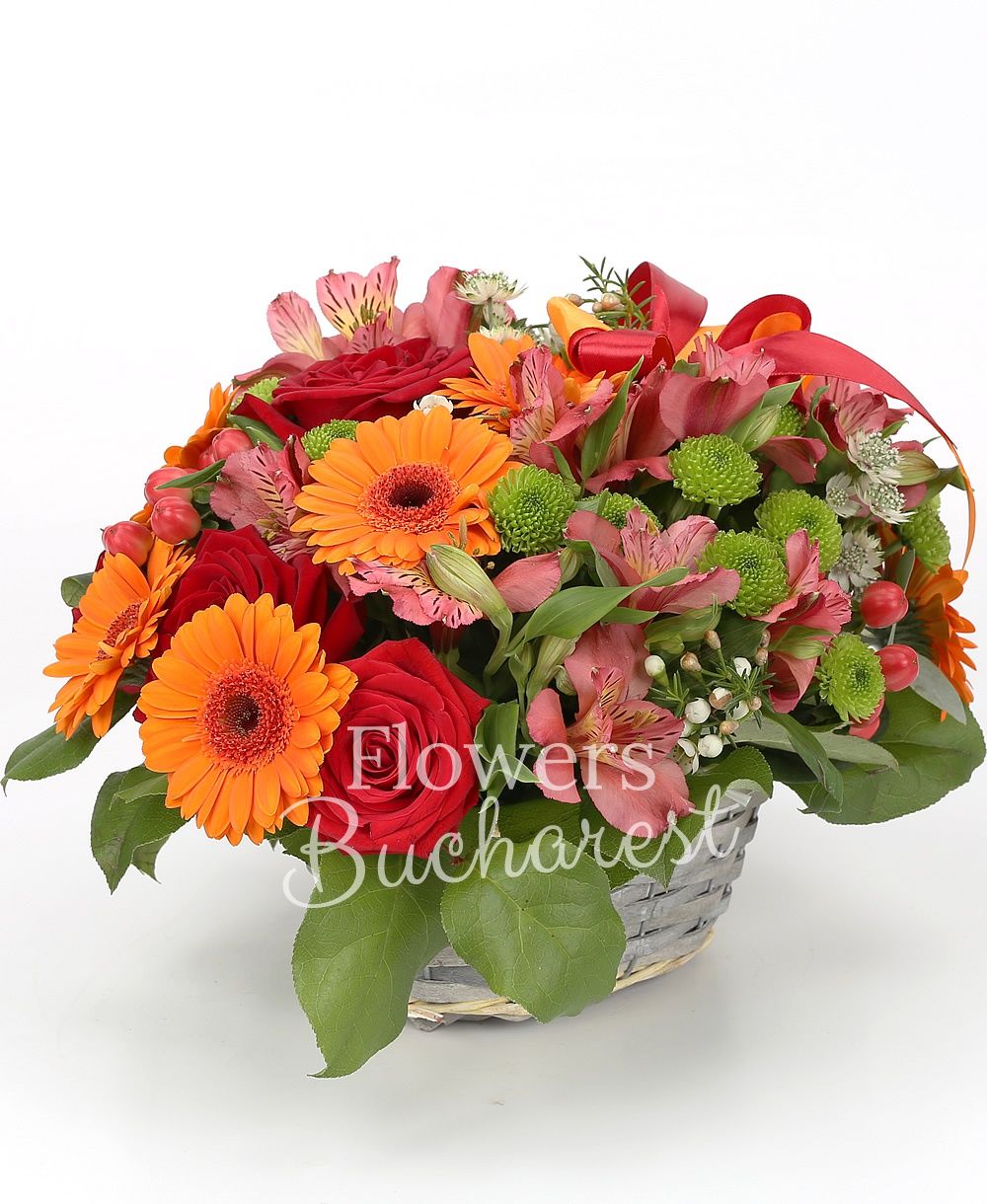 5 red roses, 6 orange gerberas, 3 pink alstroemeria, 3 hypericum, 3 green santini, greenery