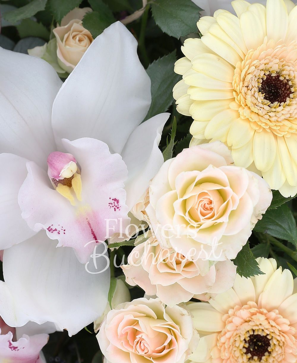 5 purple roses, 5 pink miniroses, 3 cream gerbera, 5 pink veronica, white cymbidium, lavender, greenery