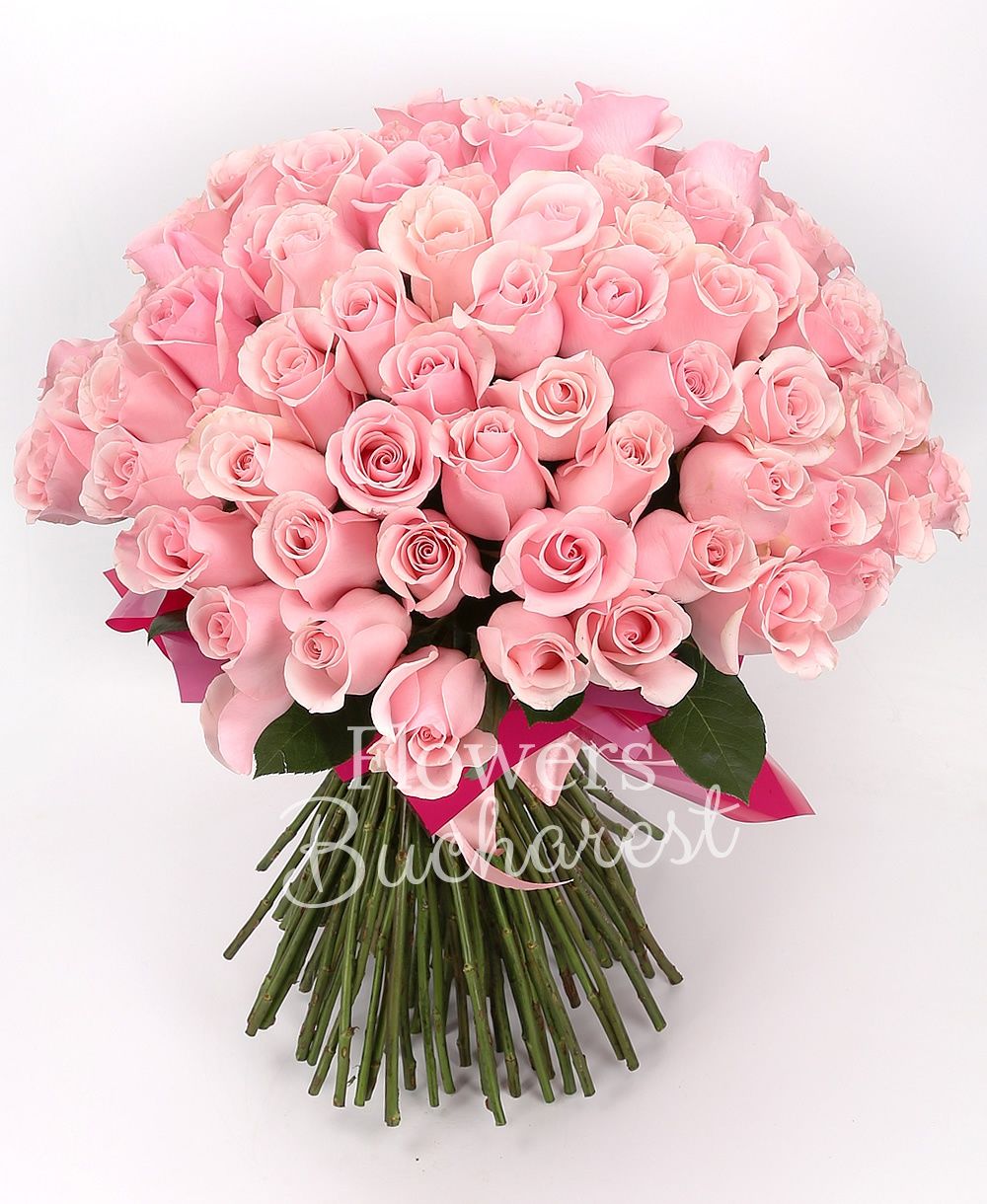 101 pink roses