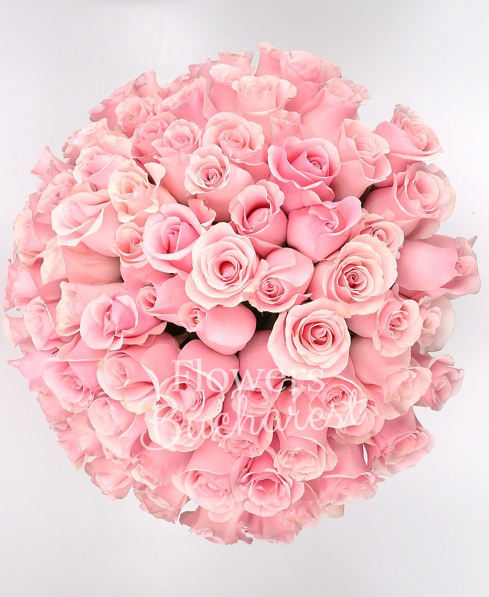 101 pink roses