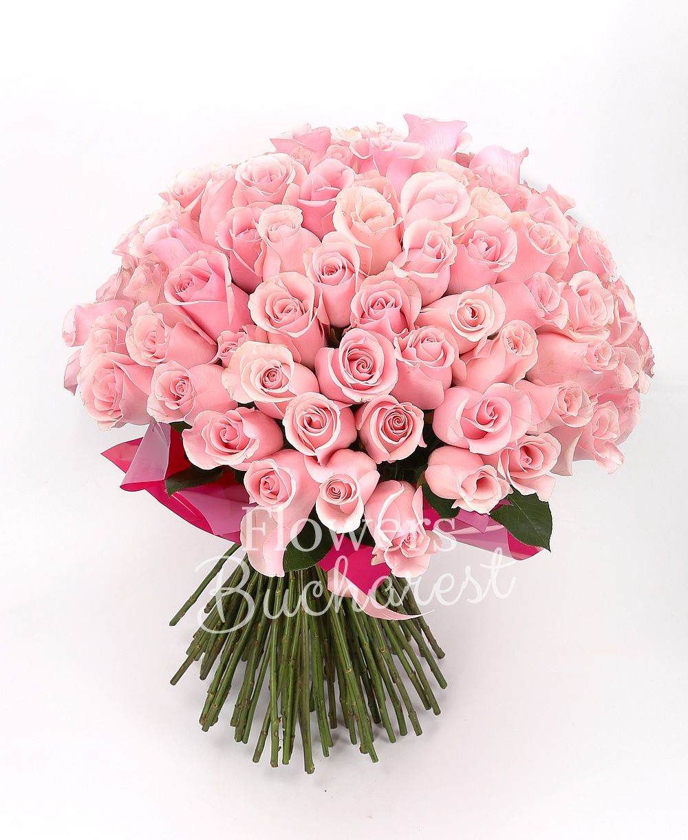 101 pink roses