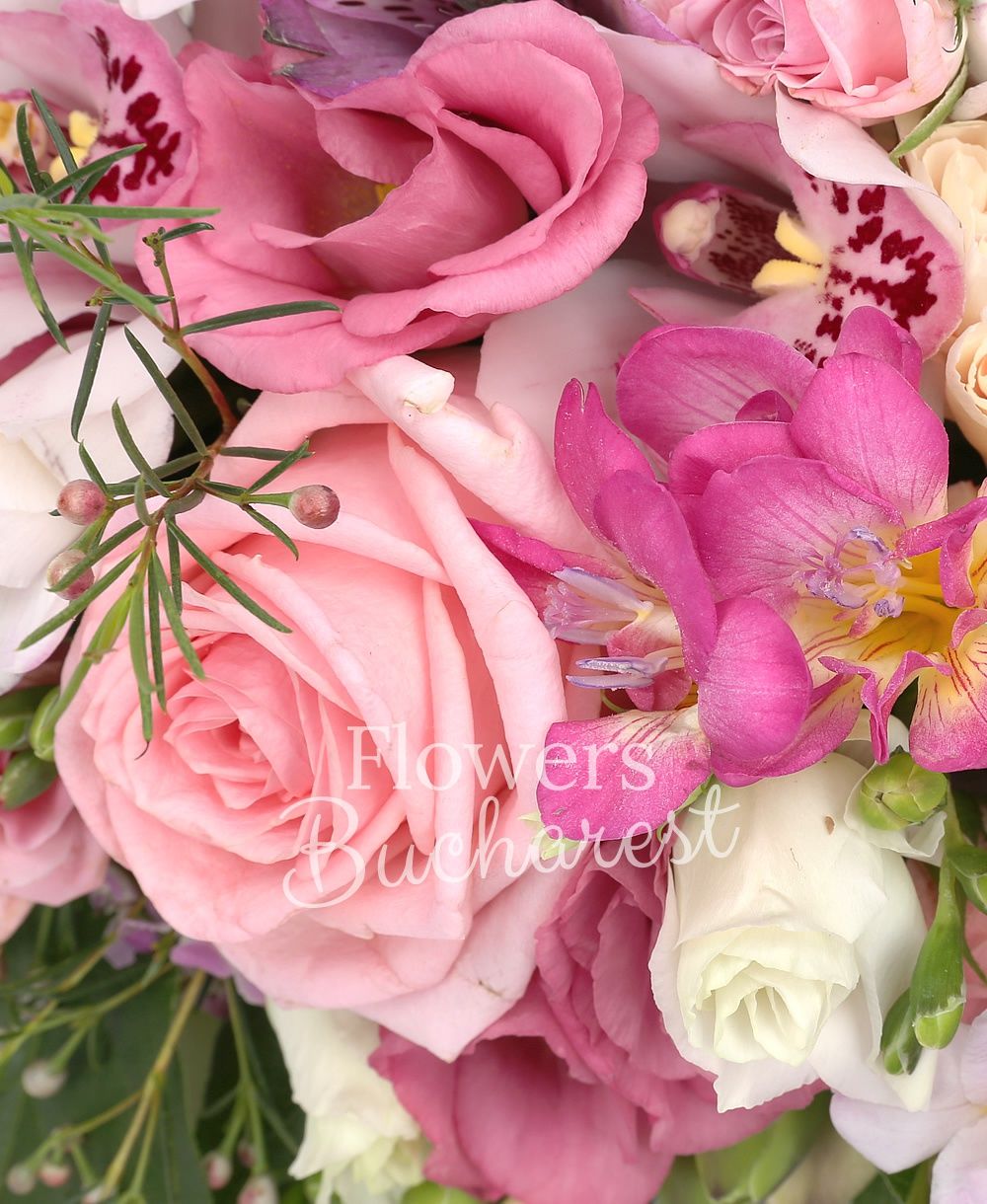 3 pink roses, 3 pink miniroses, 3 cream carnations, 5 cyclam freesias, 2 mauve alstroemeria, white cymbidium, 2 pink lisianthus, pink waxflower, greenery