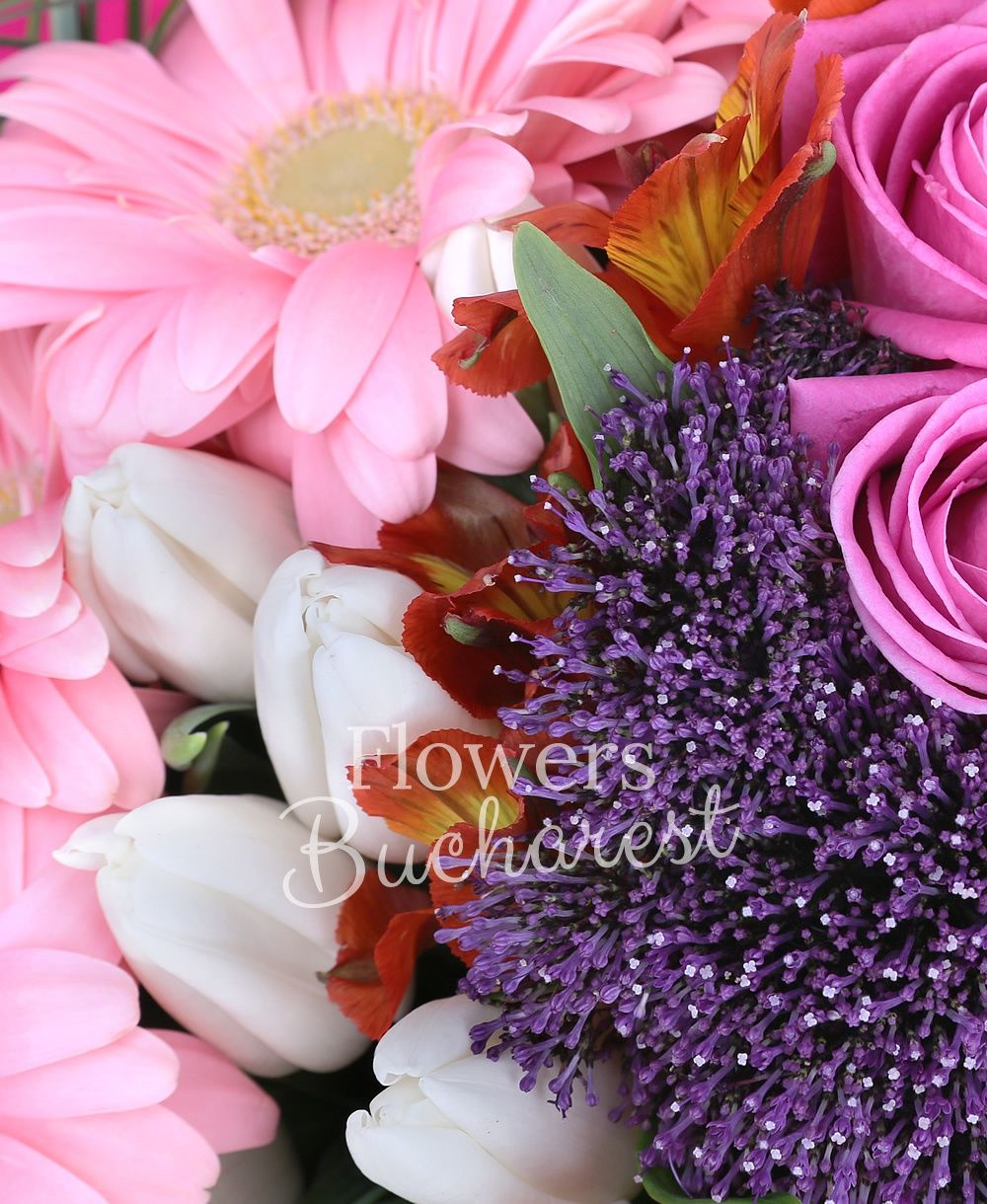 7 pink roses, 7 purple cala, 5 purple trachelium, 5 orange alstoemeria, 10 white tulips, 7 pink gerbera, greenery