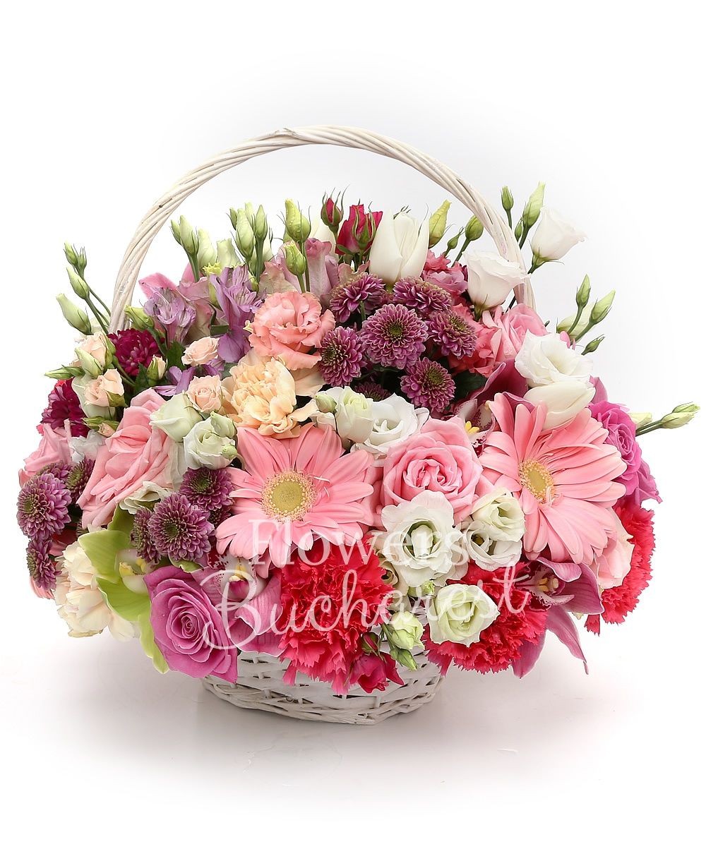 5 cyclam roses, 5 pink roses, 5 pink gerbera, 3 pink miniroses, 4 white lisianthus, 3 pink santini, 2 pink lisianthus, 2 mauve alstroemeria, 3 cyclam carnations, 3 cream carnations, garnet cymbidium, basket