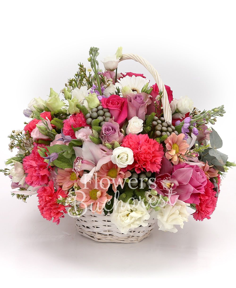 3 cyclam roses, 3 purple roses, 3 pink roses, 3 white gerbera, 5 cyclam carnations, 3 white lisianthus, 3 mauve mathiolla, pink cymbidium, white cymbidium, brunia, 2 pink chrysanthemums, greenery