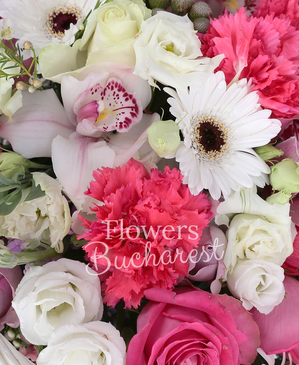 3 cyclam roses, 3 purple roses, 3 pink roses, 3 white gerbera, 5 cyclam carnations, 3 white lisianthus, 3 mauve mathiolla, pink cymbidium, white cymbidium, brunia, 2 pink chrysanthemums, greenery