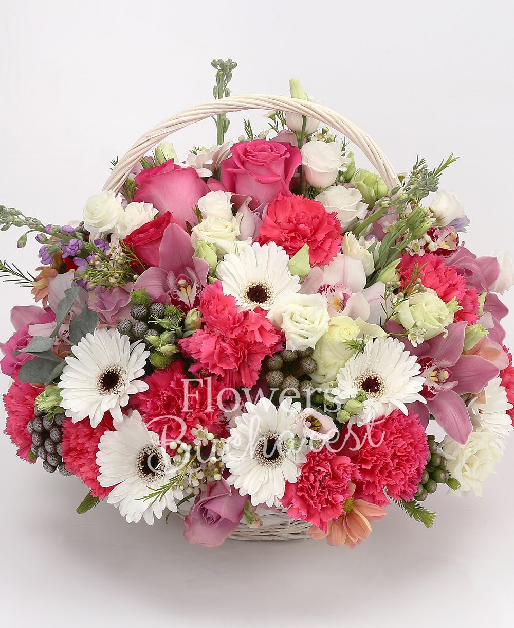 3 cyclam roses, 3 purple roses, 3 pink roses, 3 white gerbera, 5 cyclam carnations, 3 white lisianthus, 3 mauve mathiolla, pink cymbidium, white cymbidium, brunia, 2 pink chrysanthemums, greenery