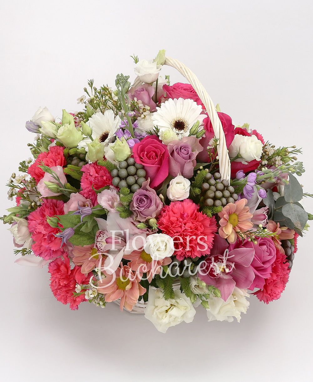 3 cyclam roses, 3 purple roses, 3 pink roses, 3 white gerbera, 5 cyclam carnations, 3 white lisianthus, 3 mauve mathiolla, pink cymbidium, white cymbidium, brunia, 2 pink chrysanthemums, greenery