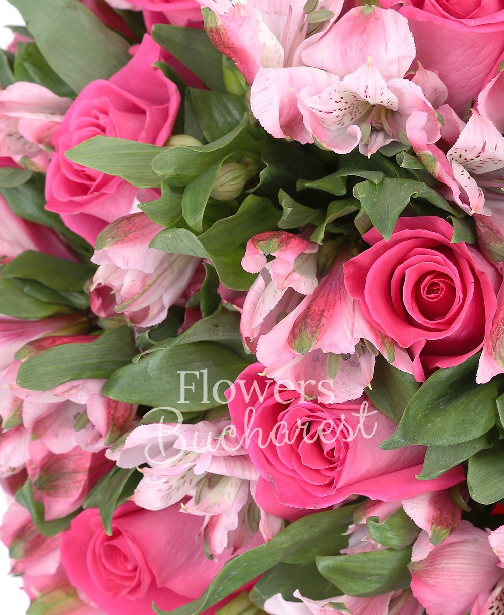 11 cyclam roses, 15 pink alstroemeria