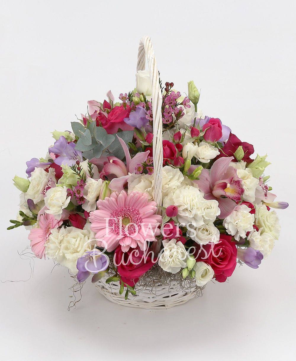 5 cyclam roses, 5 cyclam miniroses, 5 pink gerberas, 4 white lisianthus, 10 purple freesias, white cymbidium, 5 white carnations, greenery