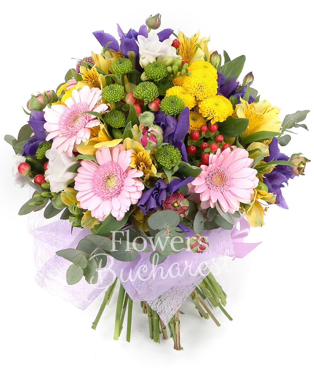 10 purple iris, 7 pink gerbera, 3 green santini, 2 pink santini, 3 yellow santini, 5 yellow alstroemeria, 5 red hypericum, 5 white freesias, greenery