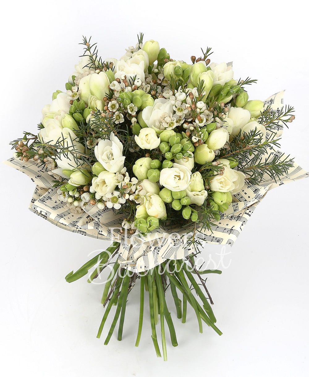 35 white freesias, greenery