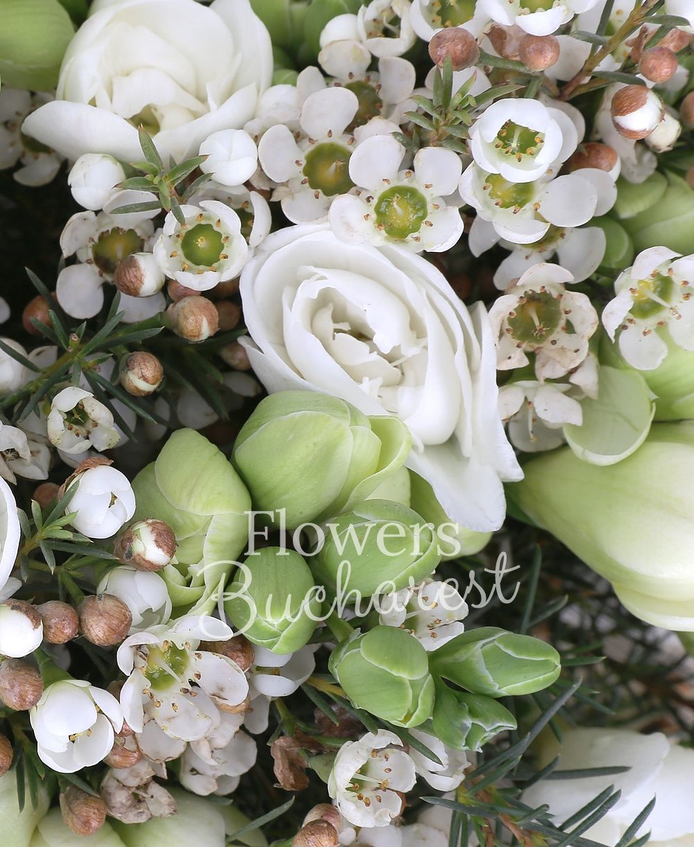 35 white freesias, greenery